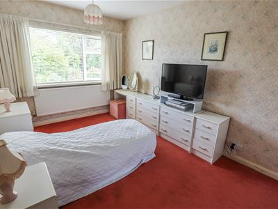Picture 10